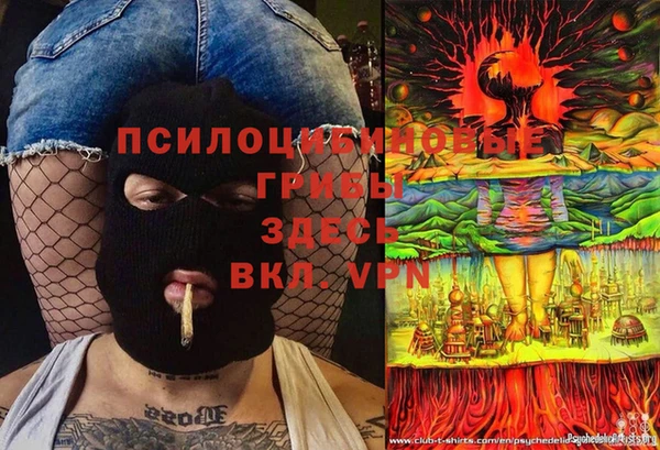 дмт Белокуриха