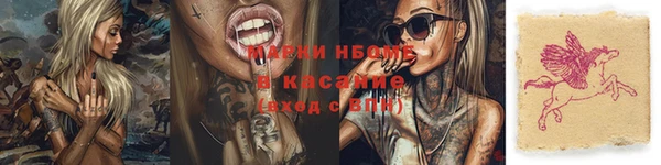 шишки Богородск