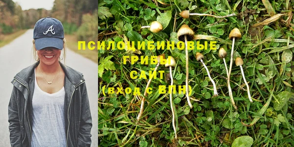 шишки Богородск