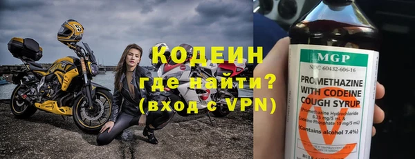 шишки Богородск