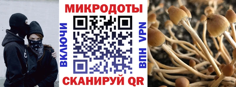 Галлюциногенные грибы Psilocybe  Пестово 