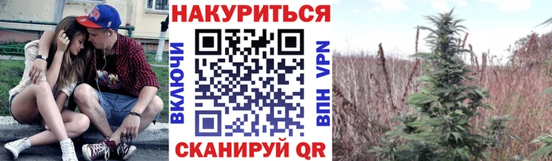 Канабис Amnesia  Пестово 